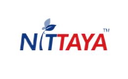 泰国NITTAVA公司