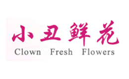 北京创意非凡鲜花有限公司