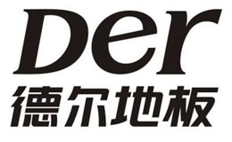 德尔未来科技控股集团股份有限公司